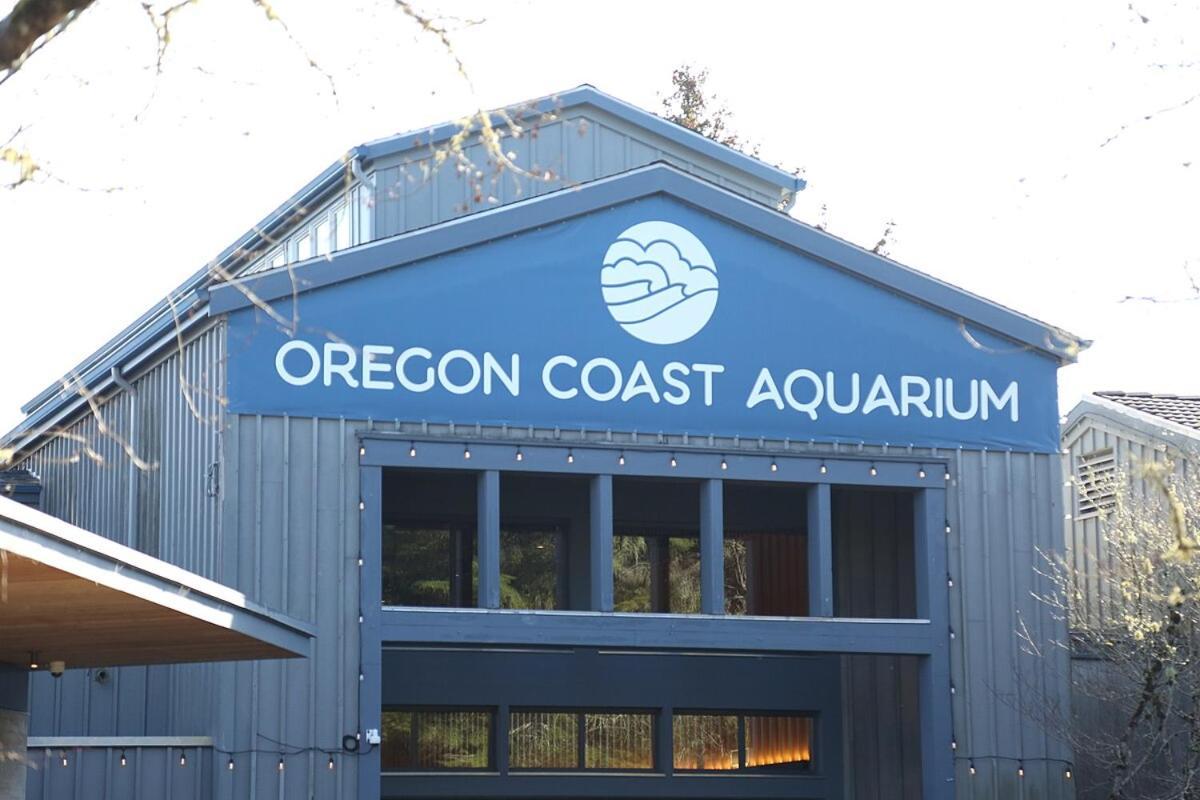Little Creek Cove Beach Resort Newport Exteriér fotografie